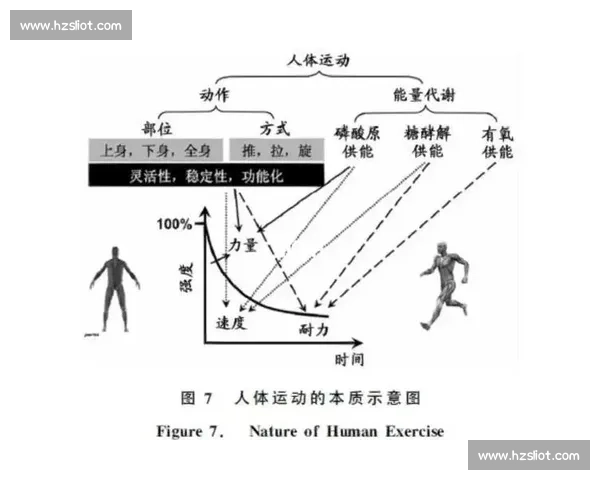 提升训练效果的关键技巧与方法全面解析